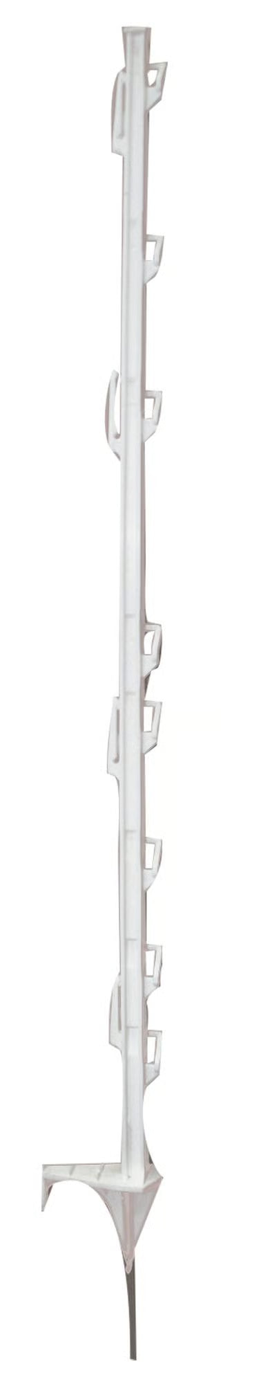 White - O'Brien's Tredaline Post