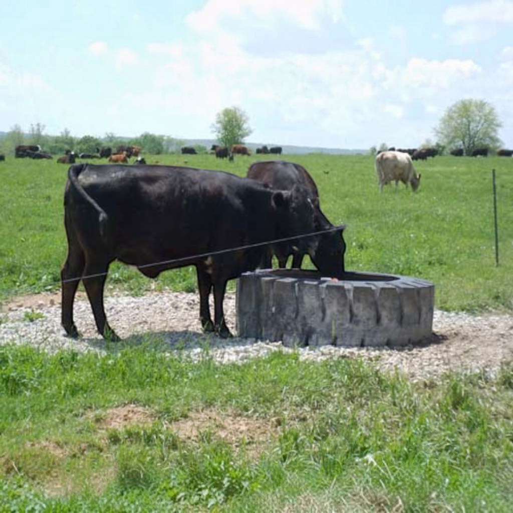 USA Grazing Systems Tire Tank repurposed from a heavy-duty industrial tire, providing water for cattle in a pasture.