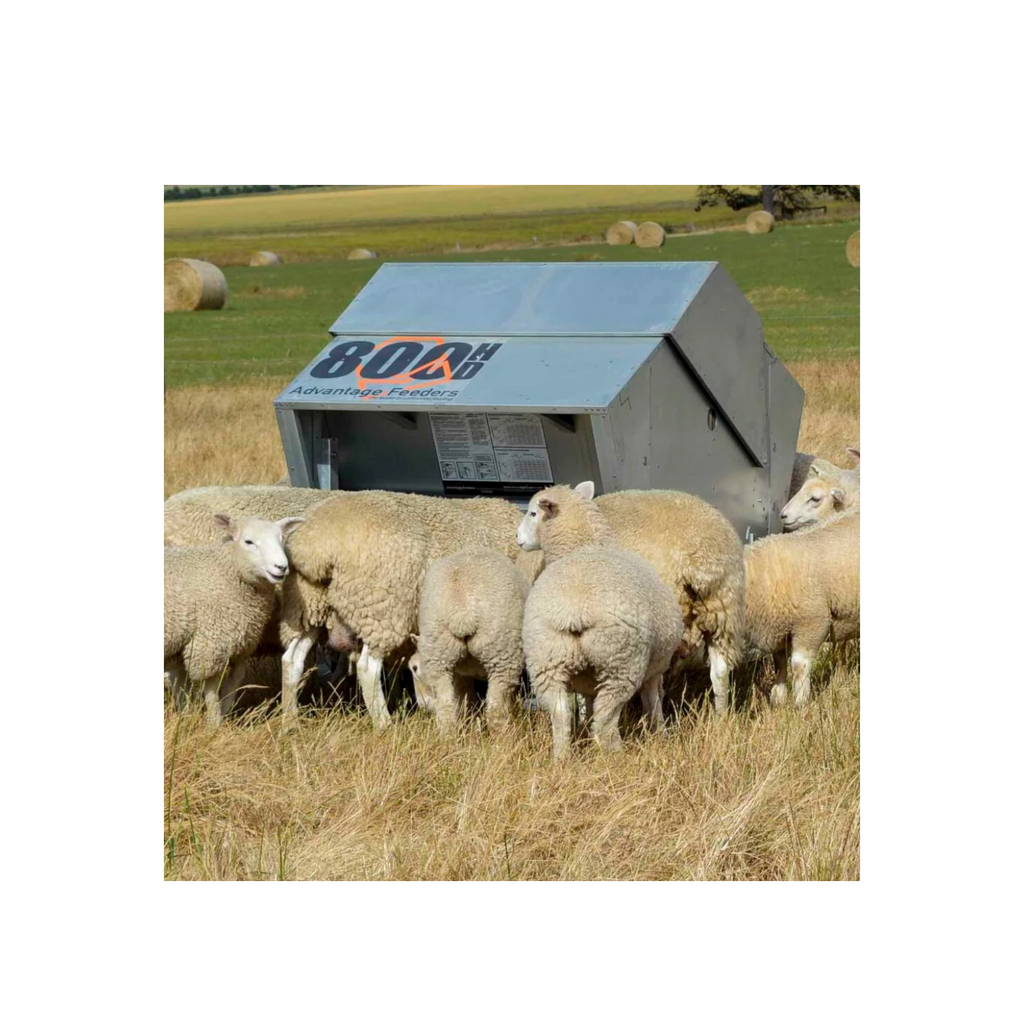 USA Grazing Systems Advantage 1200HD creep feeder in a pasture with sheep feeding from the stainless steel trough