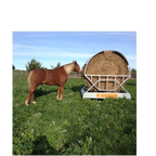 USA Grazing Systems Advantage Tray Hay Feeder with a horse eating from a round hay bale in a green pasture