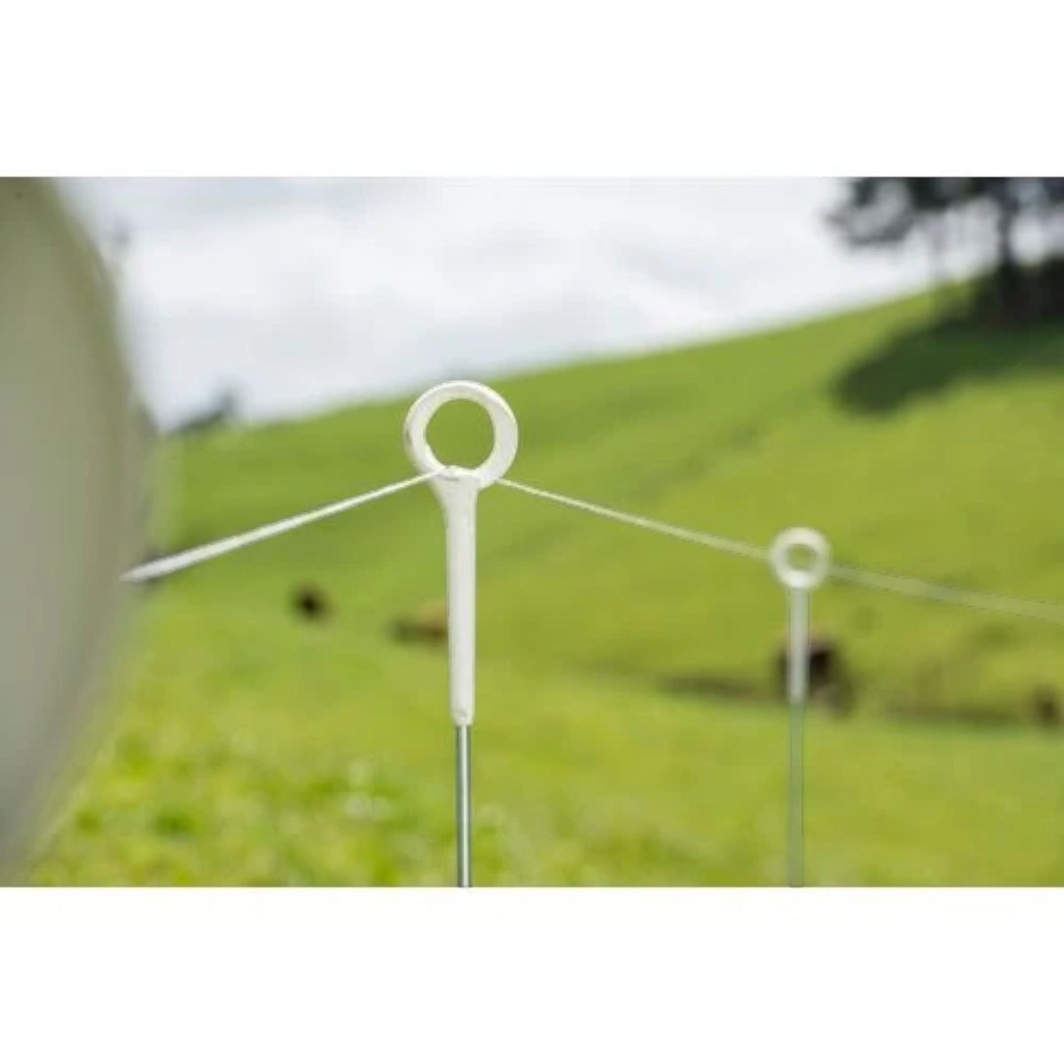 USA Grazing Systems Gallagher HD white ring top electric fence post installed in a green pasture for livestock