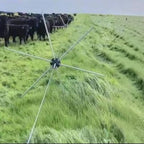 USA Grazing Systems Gallagher Tumblewheel electric fence system in a pasture with cattle for rotational grazing