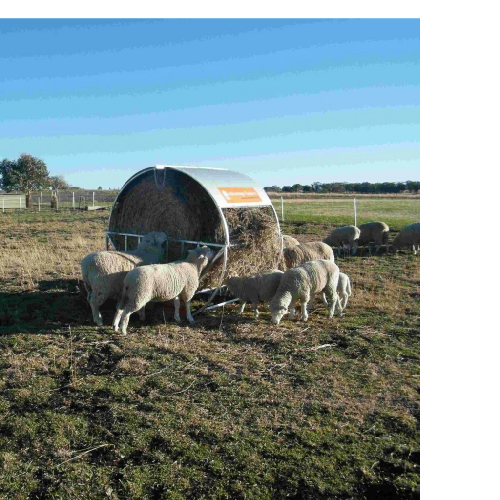 USA Grazing Systems hay feeder roof protecting a round bale from rain while sheep graze in a pasture.