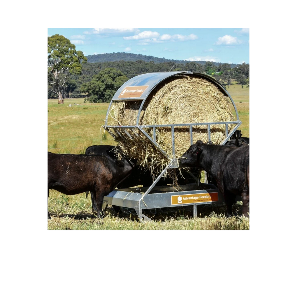 USA Grazing Systems Advantage hay feeder roof installed on a cradle feeder with cattle eating hay in a pasture