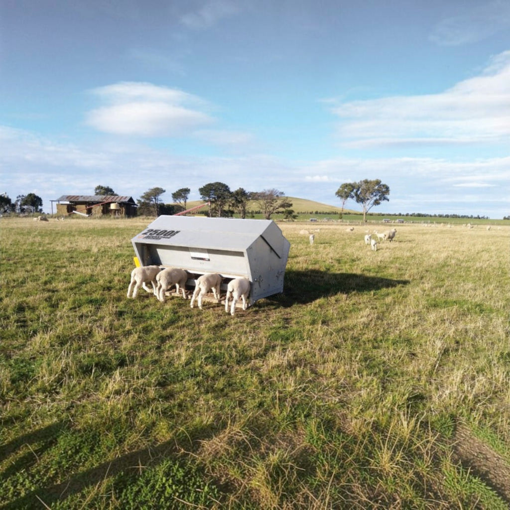 USA Grazing Systems Advantage M2500HD livestock feeder in a pasture with lambs feeding from the stainless steel trough